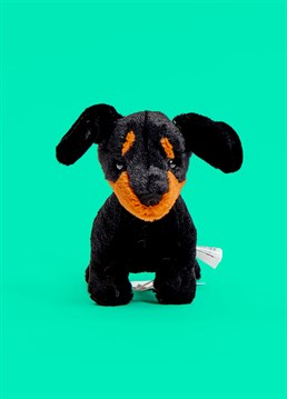 <ul>    <li>Freddie is one dinky Dachshund doggo!</li>    <li>Looking for a low maintenance pet? The Jellycat Freddie Sausage Dog is a gosh darn adorable puppy pal and a must-have gift for any sausage dog lover.</li>    <li>Freddie has been blessed with floppy ears, a perky tail and silky soft, two-tone black and ginger fur making this loyal companion absolutely perfect for cuddles!</li>    <li>Dimensions: 13cm high, 5cm wide (Small)</li></ul>
